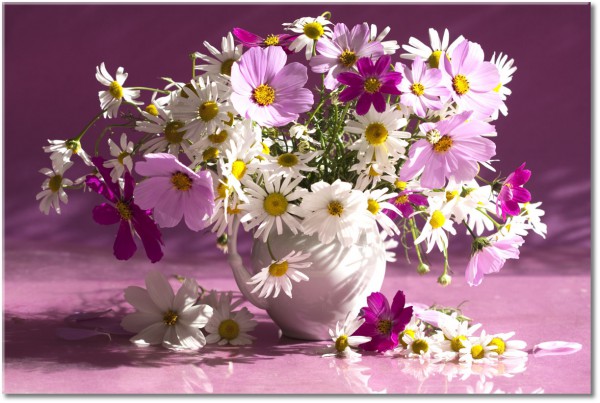 tablou canvas, alb, flori, natura-moarta, violet