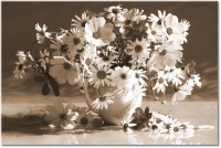 Versiune: sepia