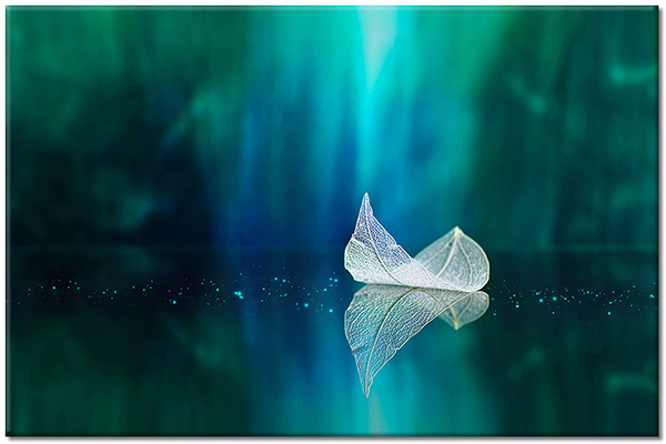 tablou canvas, abstract-fantezie, alb, albastru, apa, cyan, frunze, oglindire, verde