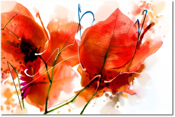 tablou canvas, abstract-fantezie, alb, arta, arta-contemporana, frunze, portocaliu, rosu, roz