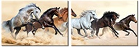 Tablou canvas 2 piese