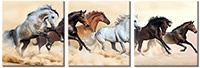 Tablou canvas 3 piese