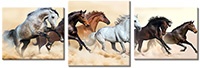 Tablou canvas 3 piese