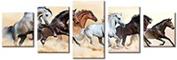 Tablou canvas 5 piese