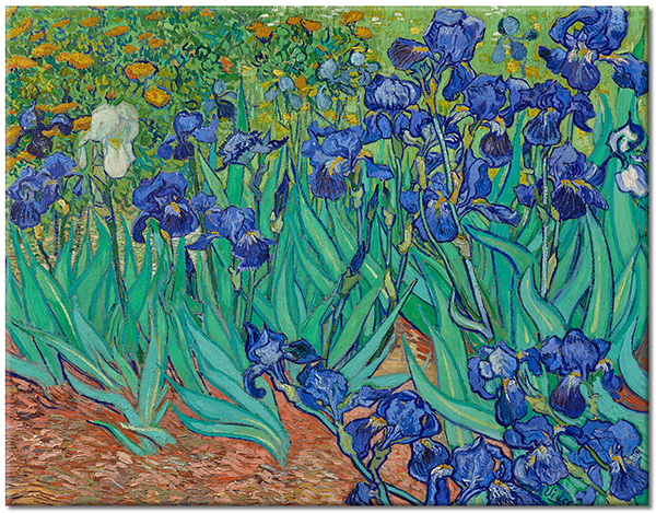 Tablou: Iriși 1889, Vincent van Gogh