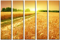 Tablou canvas 5 piese