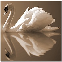 Versiune: sepia