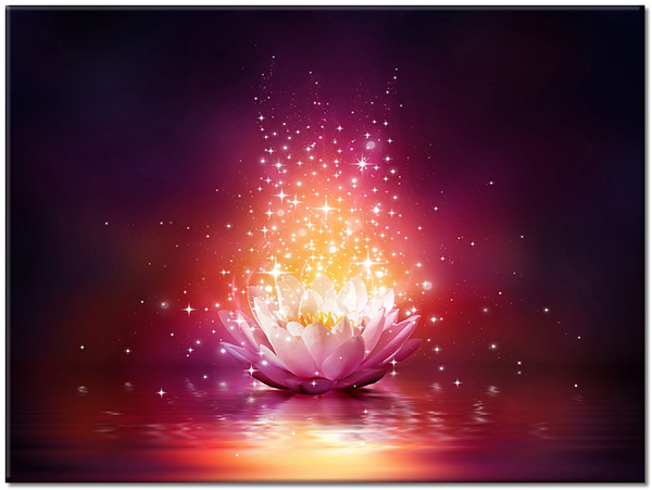 tablou canvas, abstract-fantezie, alb, flori, lotus, negru, portocaliu, violet