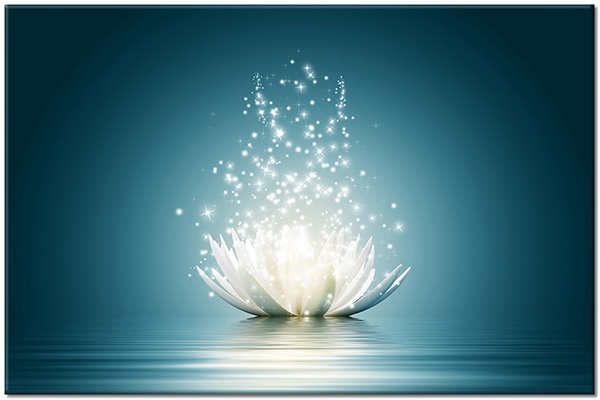 Tablou: Lotus magic pe apă