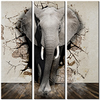 Tablou canvas 3 piese