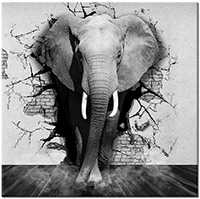 Versiune: alb-negru
