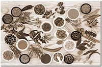 Versiune: sepia