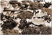 Versiune: sepia