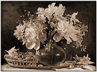 Versiune: sepia