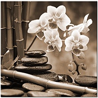 Versiune: sepia