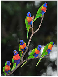 Tablou canvas 1 piesă