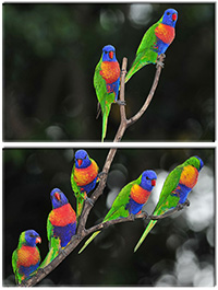Tablou canvas 2 piese