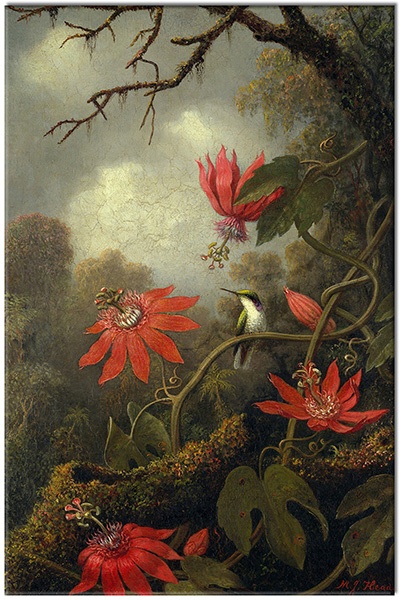 tablou canvas, animale, arta, colibri, flori, gri, johnson-heade, maro, naturi-moarte-alte-picturi, pasari, pasari-pesti-insecte, picturi, rosu, roz, verde