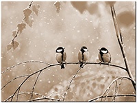 Versiune: sepia