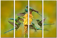 Tablou canvas 4 piese