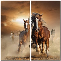 Tablou canvas 2 piese