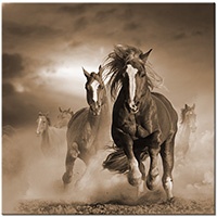 Versiune: sepia
