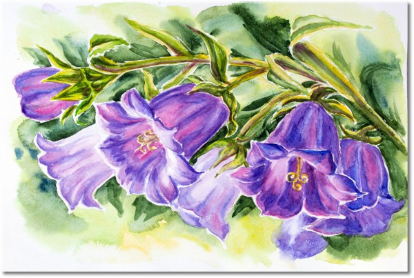 tablou canvas, acuarela, albastru, arta, flori, naturi-moarte-alte-picturi, picturi, verde, violet