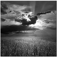 Versiune: alb-negru