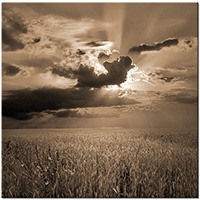 Versiune: sepia
