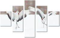 Tablou canvas 5 piese