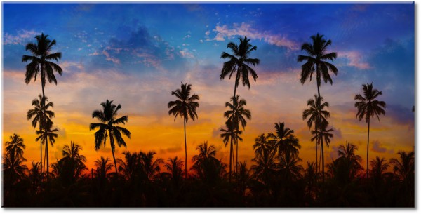 tablou canvas, albastru, alte-peisaje, apus, cer, gri, negru, nori, palmieri, peisaje, portocaliu, siluete