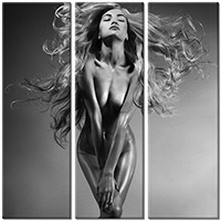 Tablou canvas 3 piese