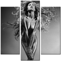 Tablou canvas 3 piese