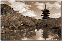 Versiune: sepia