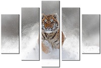 Tablou canvas 5 piese