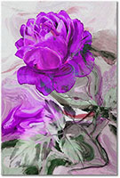 Versiune: violet