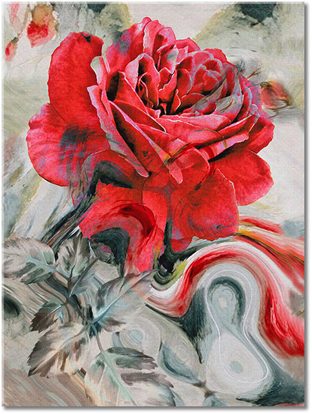 Tablou: Trandafir pe fundal de culori amestecate 2