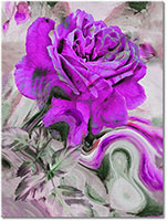 Versiune: violet