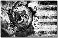 Versiune: alb-negru