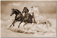 Versiune: sepia