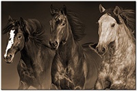 Versiune: sepia