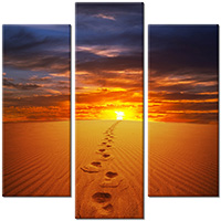 Tablou canvas 3 piese