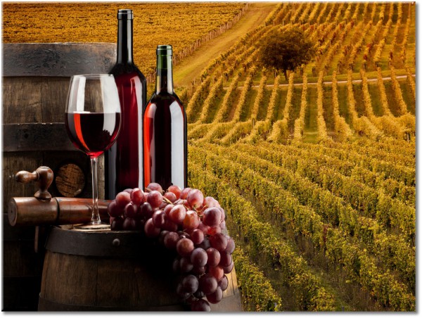 tablou canvas, alimente, alimente-bauturi, baruri, bauturi, bej, campuri, diverse, fructe, maro, negru, portocaliu, restaurante, rosu, struguri, verde, vin, violet