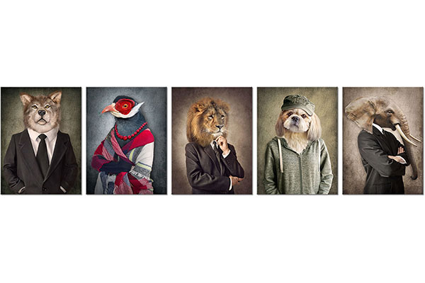 set de 5 tablouri: Animale la modă