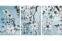 Versiune: cyan