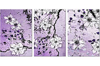 Versiune: violet