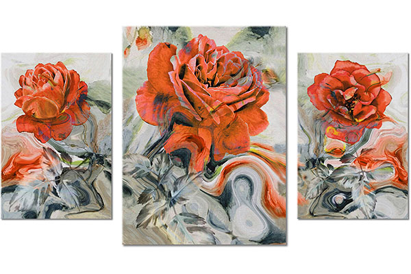 set de 3 tablouri: Trandafiri pe fundal de culori amestecate