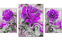 Versiune: violet